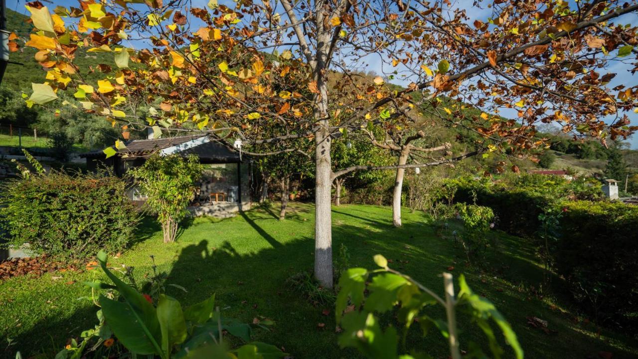 Lago Village House Kalambaka Eksteriør billede